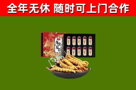 乐亭烟酒回收冬虫夏草礼盒.jpg