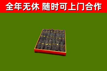 乐亭回收海参
